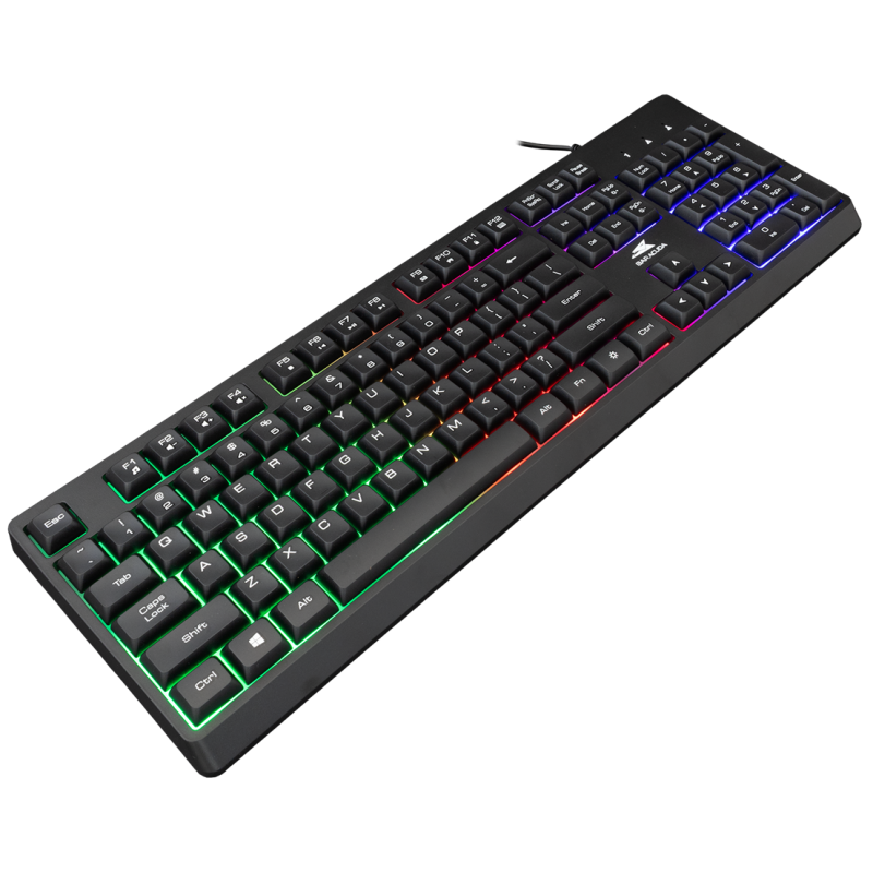 Barracuda BGK-02114 STARFISH NOIR 3