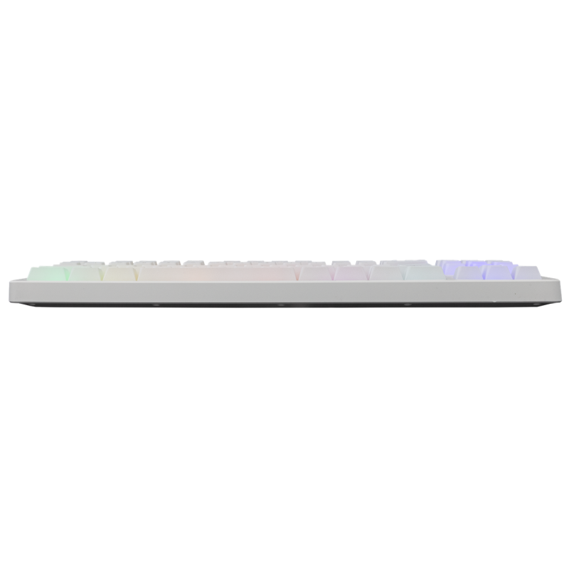 Barracuda BGK-01124 KRILL BLANC 3