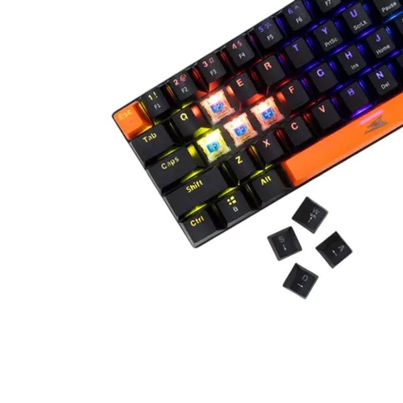 Barracuda BGK-03121 DOLPHIN NOIR Switch Bleu 3