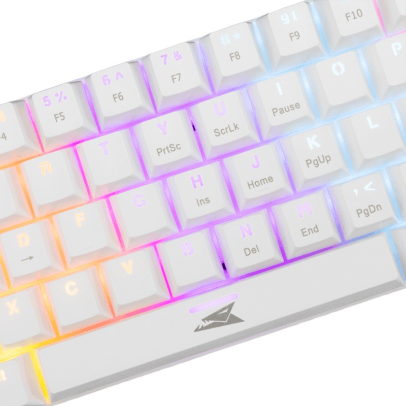 Barracuda BGK-03221 DOLPHIN BLANC Switch Bleu 3