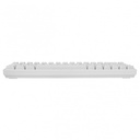 White Shark GK-2201 RONIN BLANC 3