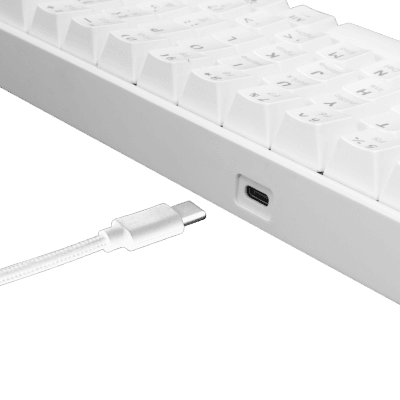 White Shark GK-004231 SHINOBI 2 BLANC Switch Marron 3