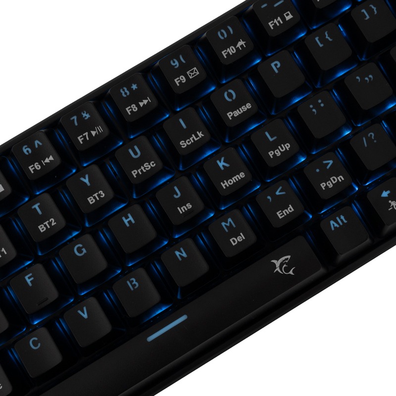 White Shark GK-003111 KAIKEN 2