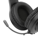 RDG-HYLAS-H260 - Vue 3
