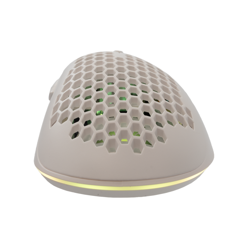 Barracuda BGM-031 Coral Blanc Filaire image4