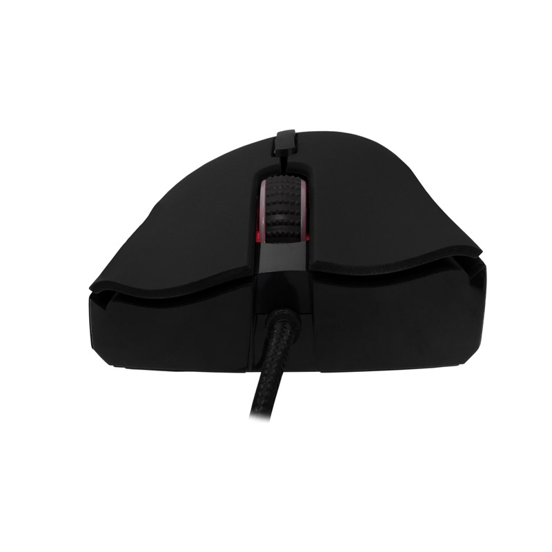 Barracuda BGM-081 Lobster Noir Filaire image3