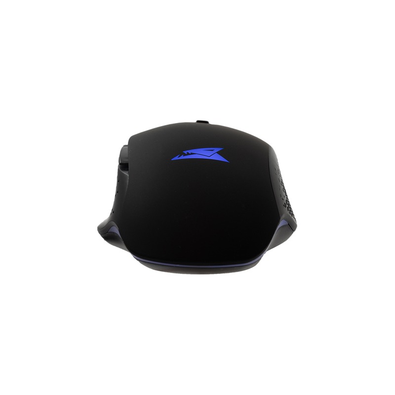 Barracuda BGM-051 Raptor Noir Filaire image2