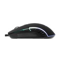 Barracuda BGM-011 Nautilus Noir Filaire image4