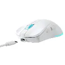 baracuda-turtle-bgm-121-wireless-white.webp