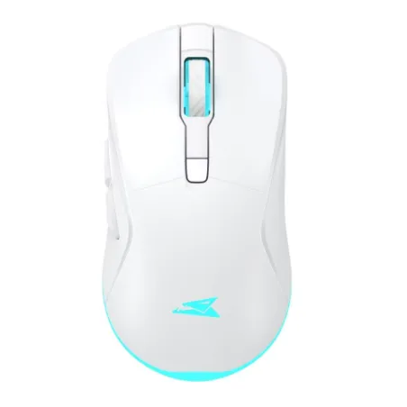 Barracuda BGM-122C Blanc Filaire